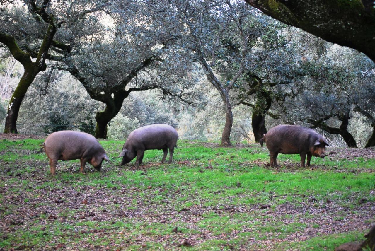 El Alojamiento Rural De Peter อาราเซนา ภายนอก รูปภาพ
